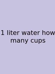 1 Liter Water How Many Cups