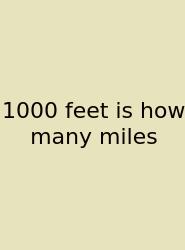 1000 Feet Is How Many Miles