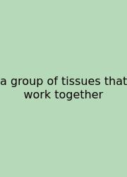 A Group Of Tissues That Work Together