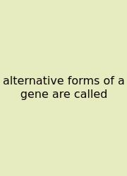 Alternative Forms Of A Gene Are Called