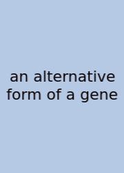 An Alternative Form Of A Gene