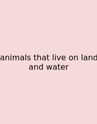 Animals That Live On Land And Water