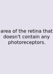 Area Of The Retina That Doesn't Contain Any Photoreceptors.