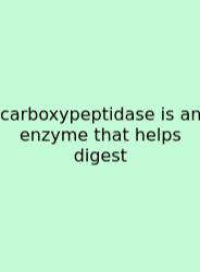 Carboxypeptidase Is An Enzyme That Helps Digest