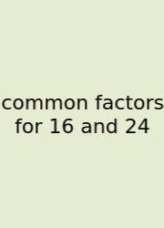 Common Factors For 16 And 24