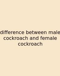 Difference Between Male Cockroach And Female Cockroach