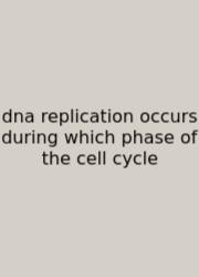 Dna Replication Occurs During Which Phase Of The Cell Cycle