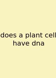 Does A Plant Cell Have Dna