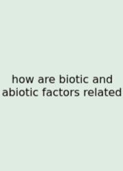 How Are Biotic And Abiotic Factors Related