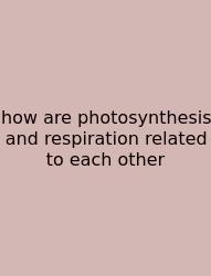 How Are Photosynthesis And Respiration Related To Each Other