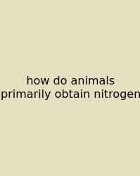 How Do Animals Primarily Obtain Nitrogen