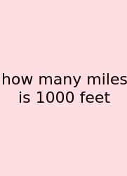 How Many Miles Is 1000 Feet
