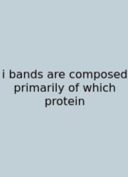 I Bands Are Composed Primarily Of Which Protein