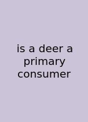 Is A Deer A Primary Consumer