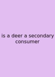 Is A Deer A Secondary Consumer