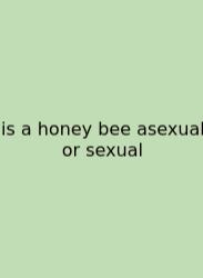 Is A Honey Bee Asexual Or Sexual