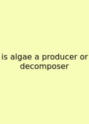 Is Algae A Producer Or Decomposer