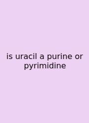Is Uracil A Purine Or Pyrimidine