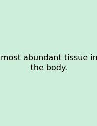 Most Abundant Tissue In The Body.