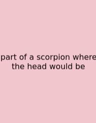 Part Of A Scorpion Where The Head Would Be