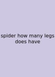 Spider How Many Legs Does Have