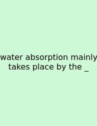 Water Absorption Mainly Takes Place By The _