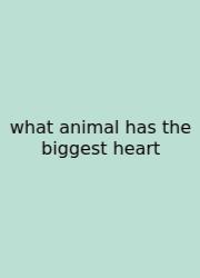 What Animal Has The Biggest Heart