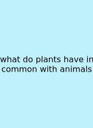 What Do Plants Have In Common With Animals