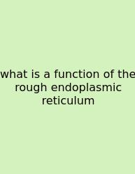 What Is A Function Of The Rough Endoplasmic Reticulum