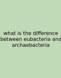 What Is The Difference Between Eubacteria And Archaebacteria
