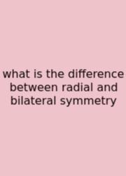 What Is The Difference Between Radial And Bilateral Symmetry