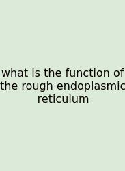 What Is The Function Of The Rough Endoplasmic Reticulum