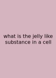 What Is The Jelly Like Substance In A Cell