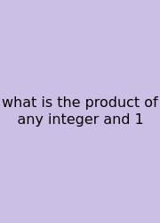 What Is The Product Of Any Integer And 1