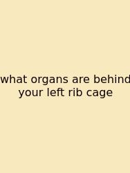 What Organs Are Behind Your Left Rib Cage