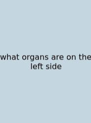 What Organs Are On The Left Side