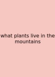 What Plants Live In The Mountains