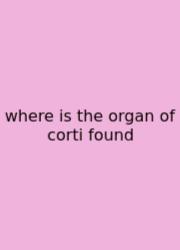 Where Is The Organ Of Corti Found