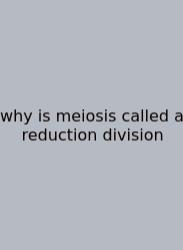 Why Is Meiosis Called A Reduction Division