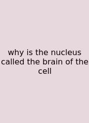 Why Is The Nucleus Called The Brain Of The Cell